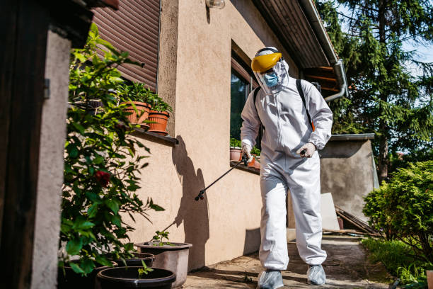 Best Termite Control Services  in Belleview, FL