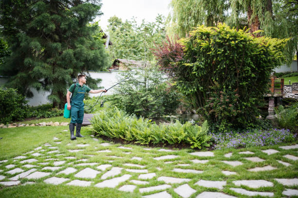 Best Pest Control Near Me  in Belleview, FL
