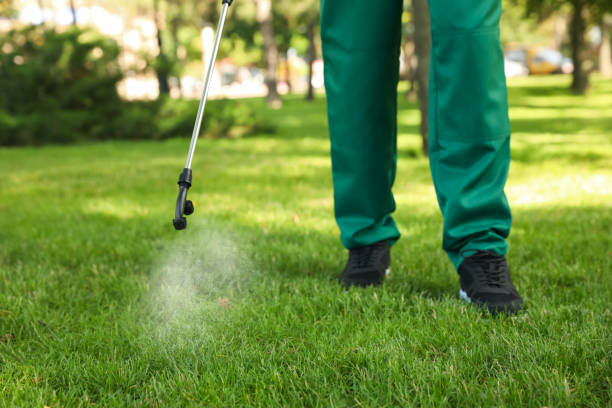 Best Commercial Pest Control Services  in Belleview, FL